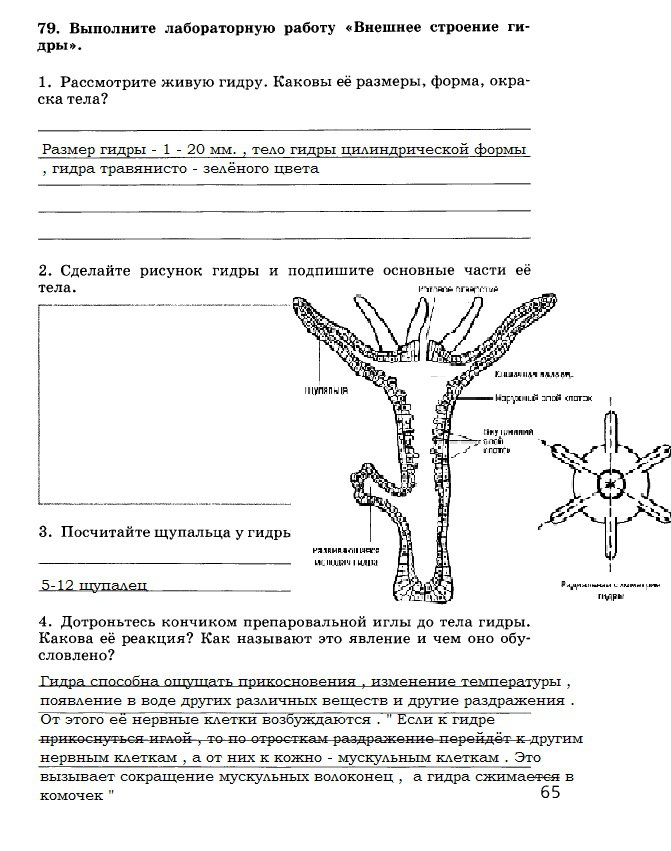 Кракен площадка торговая kr2web in